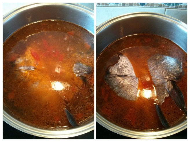 Brou de peix, cobrim d'aigua