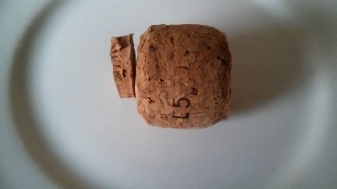 Protector per a la punta de l'agulla del perforador d'ous