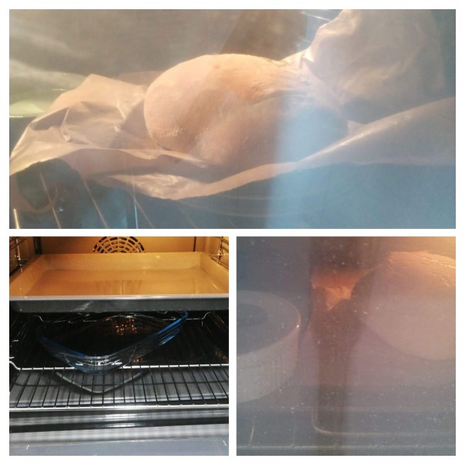 El forn i pans al forn, collage