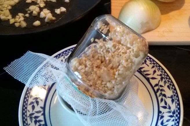 L'arròs integral germinat