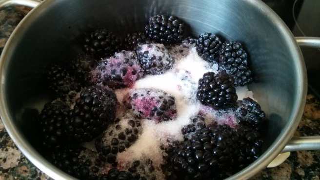 Les mores macerant amb el sucre